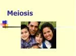 Meiosis