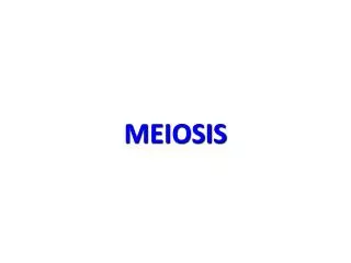 MEIOSIS