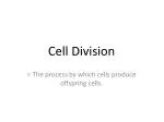 Cell Division - slide 1