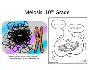 Meiosis: 10 th Grade