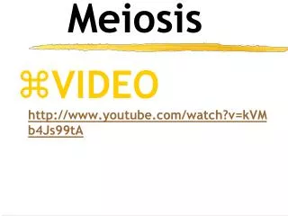 Meiosis