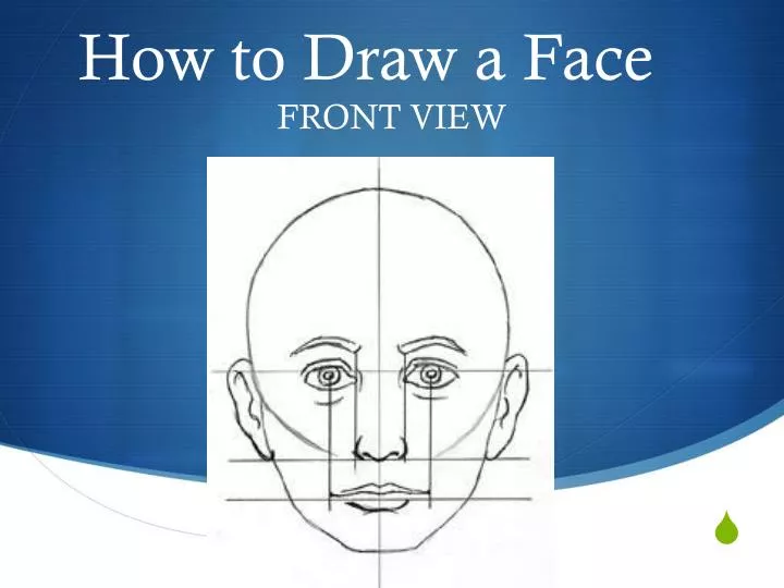 How To Draw The Head — Front View - Alvalyn Creative Illustration