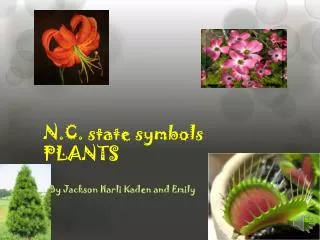 N.C. state symbols PLANTS