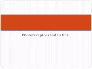 Photoreceptors and Retina
