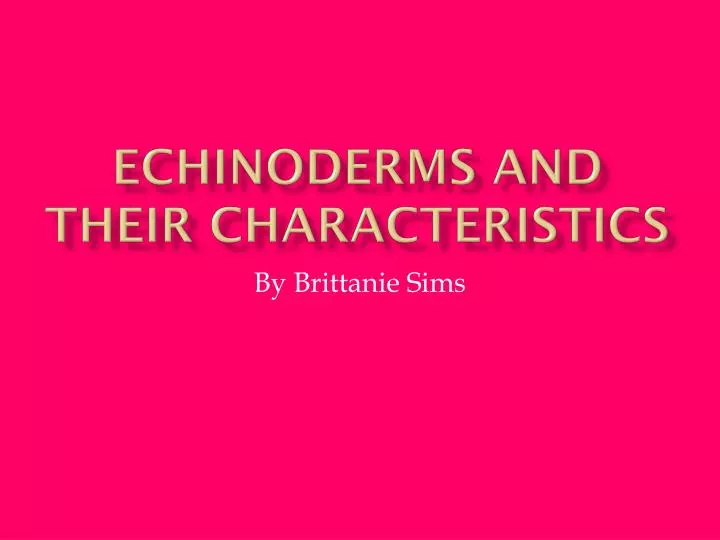 echinoderms and their characteristics