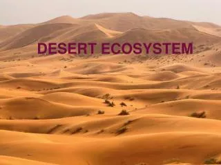 DESERT ECOSYSTEM