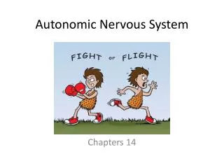 Autonomic Nervous System