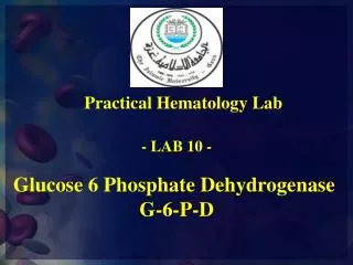 Glucose 6 Phosphate Dehydrogenase G-6-P-D