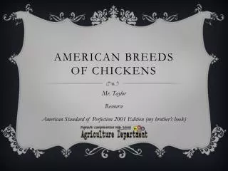 American Breeds of Chickens