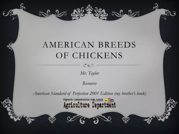 american breeds of chickens