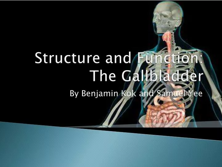 structure and function the gallbladder