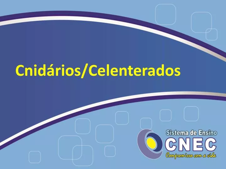 cnid rios celenterados