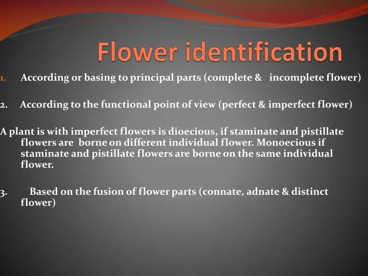 flower identification