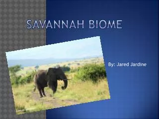 Savannah biome