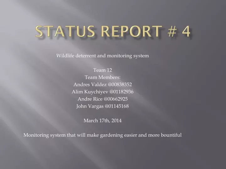 status report 4