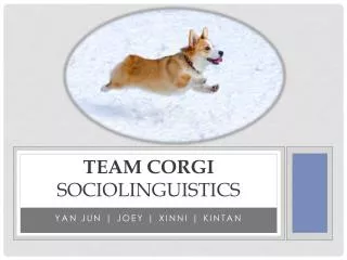 Team Corgi sociolinguistics