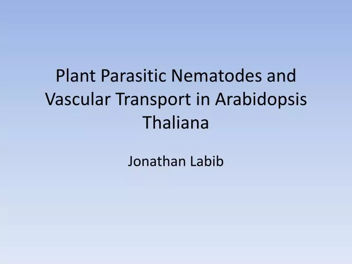 plant parasitic nematodes and vascular transport in arabidopsis thaliana