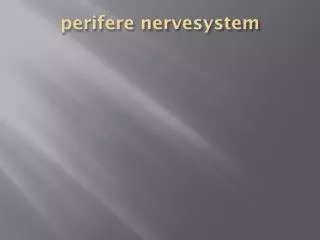 perifere nervesystem