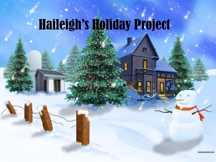 haileigh s holiday project