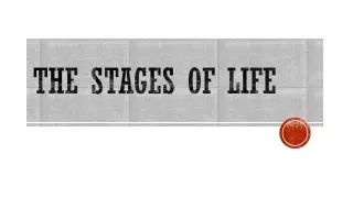 The stages of Life