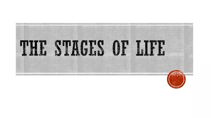 the stages of life