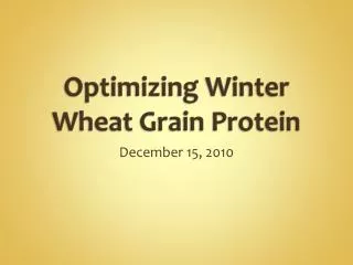 Optimizing Winter Wheat Grain Protein