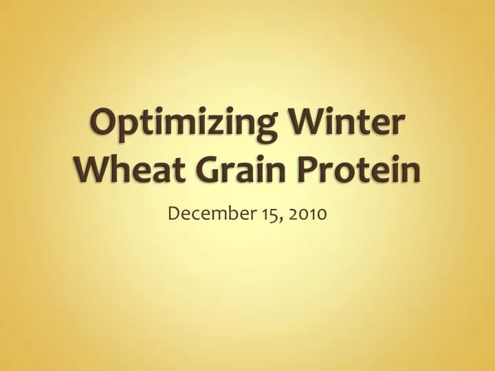 optimizing winter wheat grain protein
