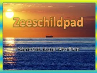 zeeschildpad