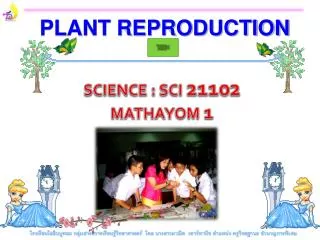 PLANT REPRODUCTION