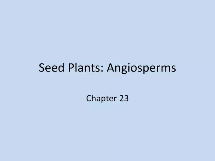 seed plants angiosperms