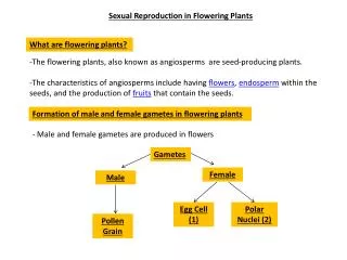 Sexual Reproduction in Flowering Plants