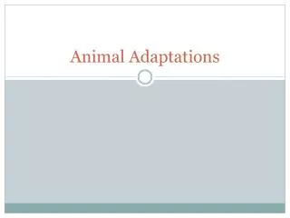 Animal Adaptations