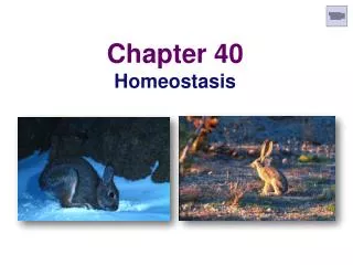 Chapter 40 Homeostasis