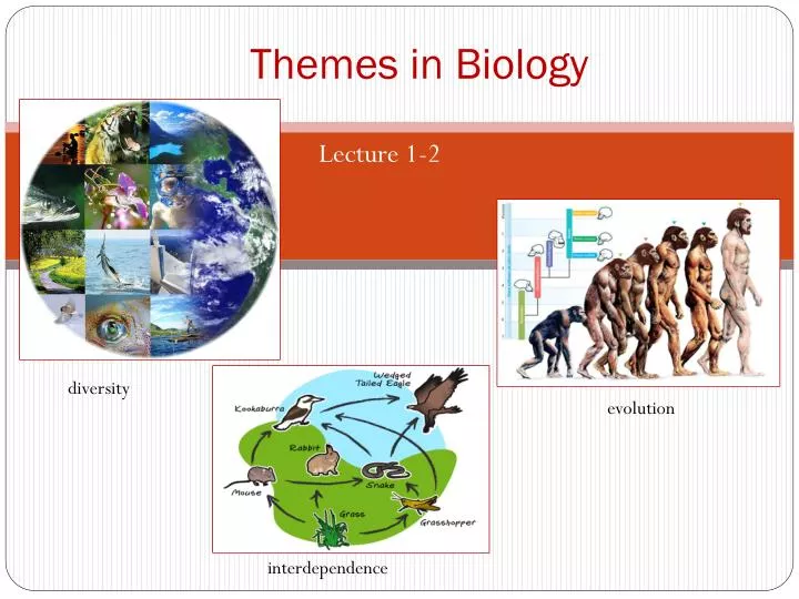 themes in biology