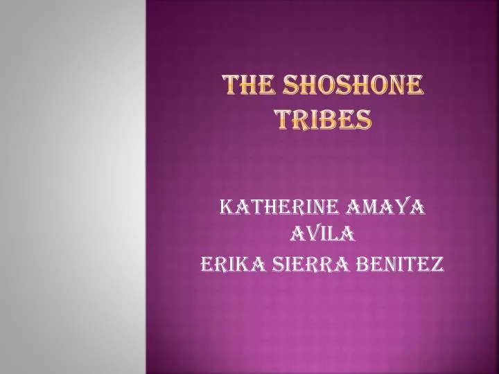 the shoshone tribes