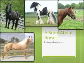 A Book About Horses