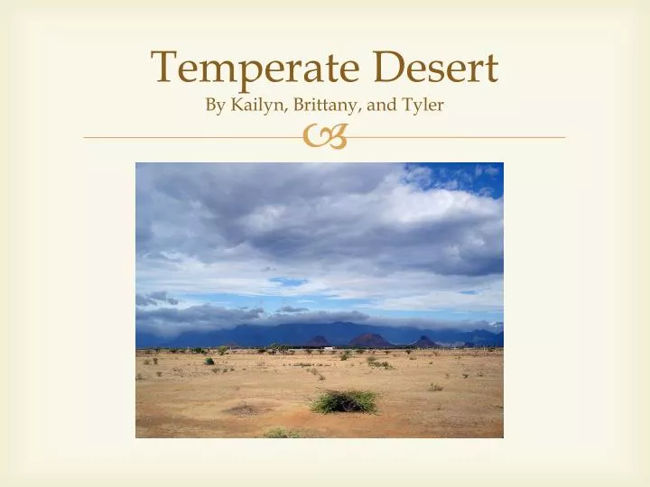 temperate desert by kailyn brittany and tyler