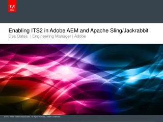 Enabling ITS2 in Adobe AEM and Apache Sling/Jackrabbit