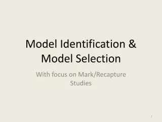 Model Identification &amp; Model Selection