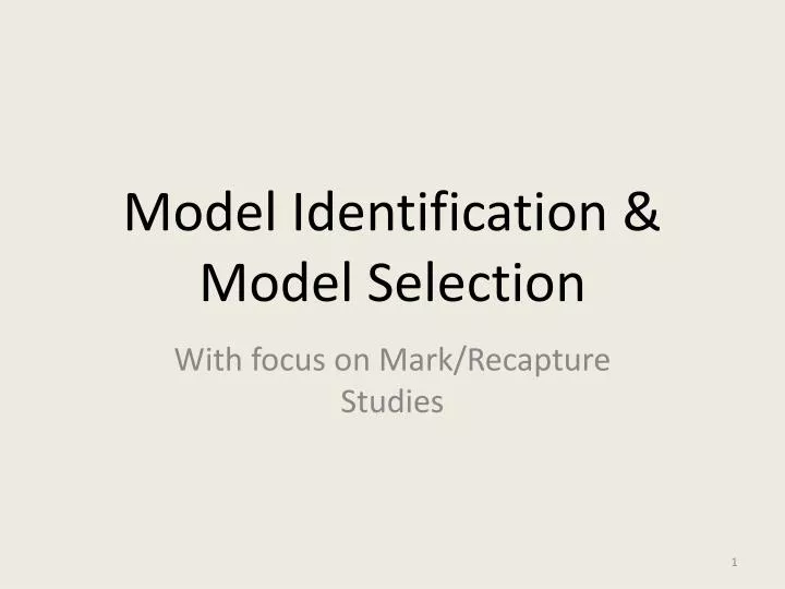 model identification model selection