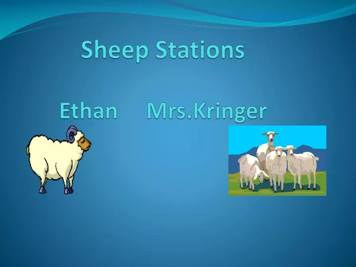 sheep stations ethan mrs kringer