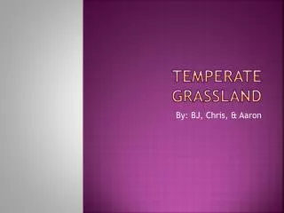 Temperate Grassland