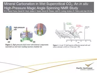 In Situ IR-Titration System for Study of scCO 2 -Mineral Reactions