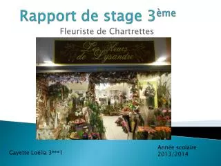 rapport de stage 3 me