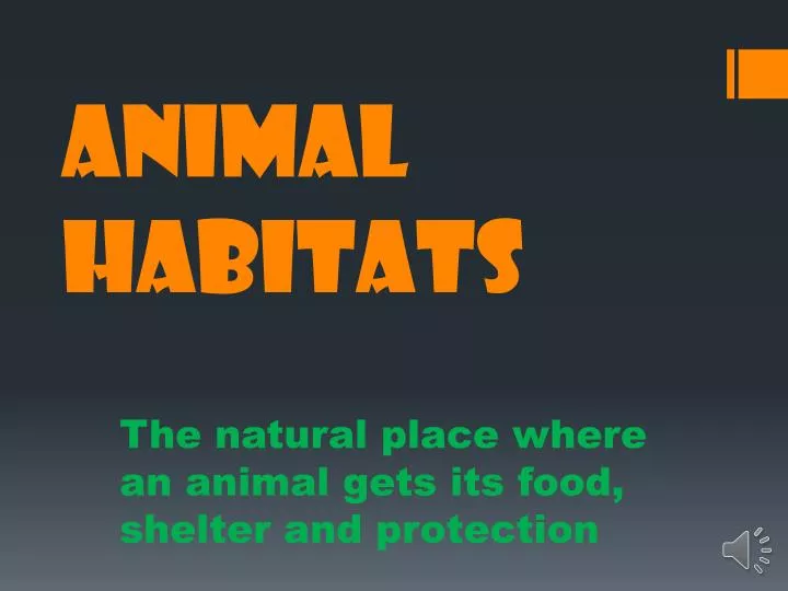 animal habitats