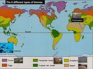 The 6 different types of biomes.