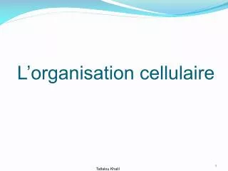 l organisation cellulaire
