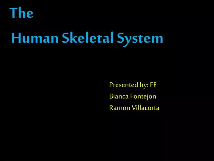 the human skeletal system