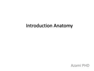 Introduction Anatomy