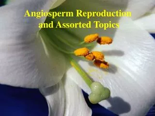 Angiosperm Reproduction and Assorted Topics